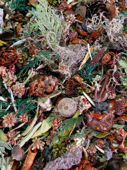 Patchouli Botanical Potpourri - Earthy Rustic - Close-Up