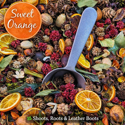 Sweet Orange Handcrafted Potpourri - Detail