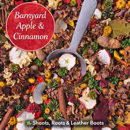 Barnyard Apple & Cinnamon Handcrafted Potpourri - Detail